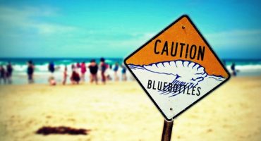 World’s Most Dangerous Beaches