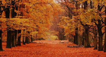 Destinations for fall