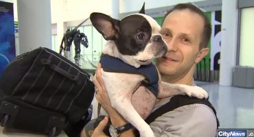 Air Canada Pilot saves dog from freezing