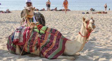 Dubai Named ‘Destination of the Year’ in Medical Tourism