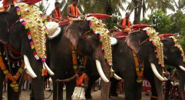 The world’s most bizarre festivals