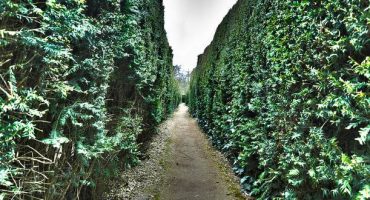 Europe’s best mazes: because getting lost can be fun