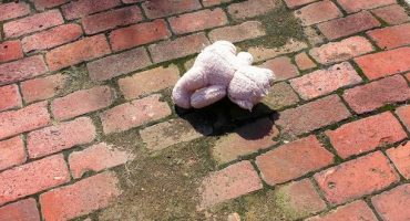 Lost fluffy bear finds his way back to little girl