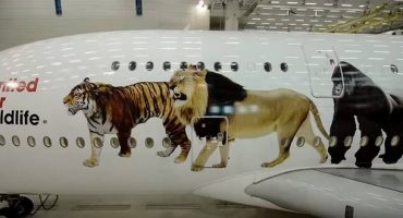Emirates super jumbo jet has a strong message about the wildlife trade