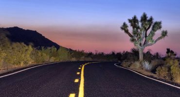 How to survive a road trip