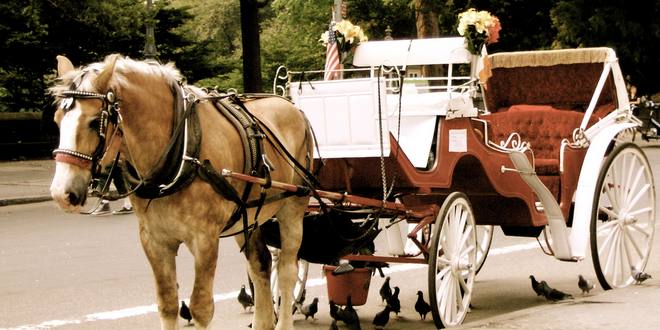 Uber Approved Cars >> New York's horse-carriage industry is under threat ... Uber Approved Cars >> New York's horse-carriage industry is under threat ...