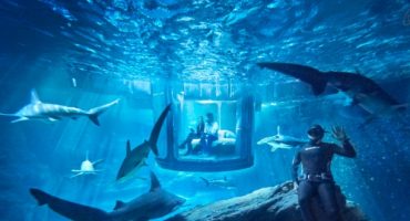 Spend a night sleeping with the sharks in Paris