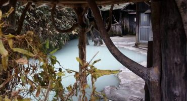 Japan’s hot springs asked to relax their rules