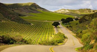 Discover California’s classic wine trails