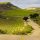 california-wine-route