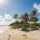 caribbean
