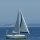 Sail boat on the ocean