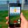 Pokemon Go app
