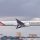 Emirates Airlines plane in flight