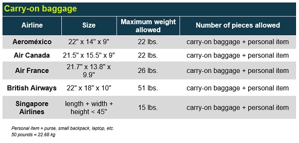 Air france extra baggage best sale