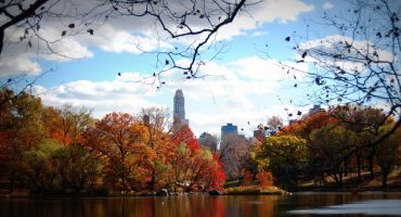 Jet off on a fall vacation with these great fares from Virgin America!