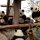 Giant panda cubs
