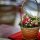 Christmas destinations vacation