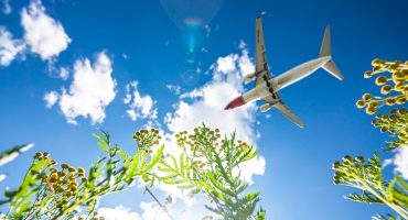 Cranky Flier: The Low Cost Transatlantic Airlines You May Never Have Heard Of
