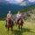 The Planet D horse trail ride