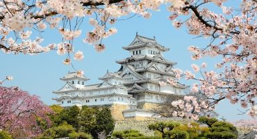 This Is When To See Japan’s Famous Cherry Blossom Trees In Full Bloom