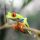 Costa-Rica