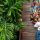 Two Monkeys Travel Group