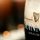 Guinness