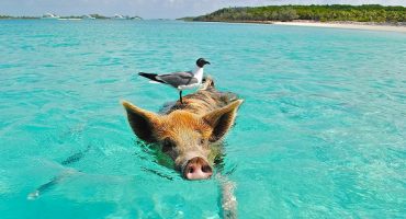 Sunny Summer Flight Deals Across The US And Beyond
