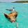 Bahamas pig beach