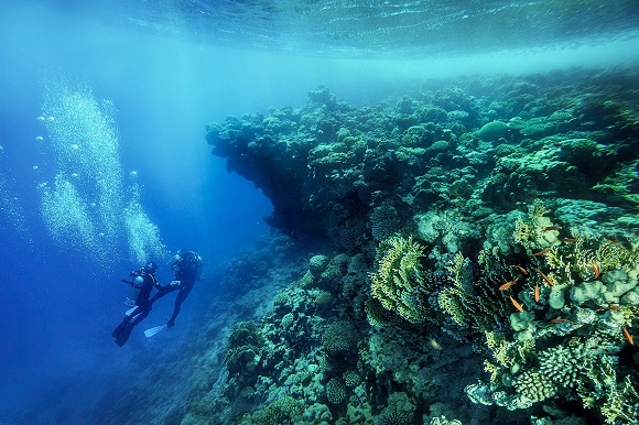 The Red Sea in Egypt