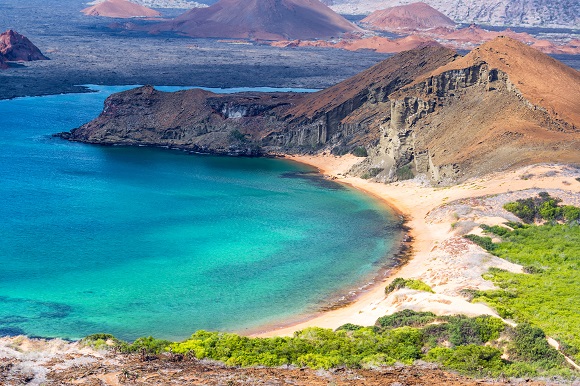 The Galapagos Islands