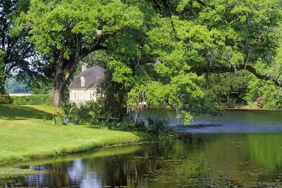 Middleton Place Plantation, Charleston