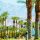 Palm Springs