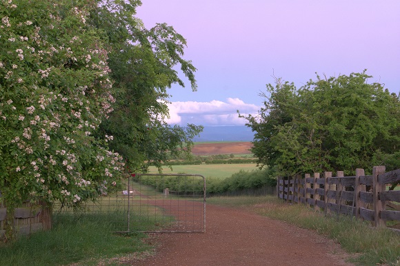 Longford, Tasmania