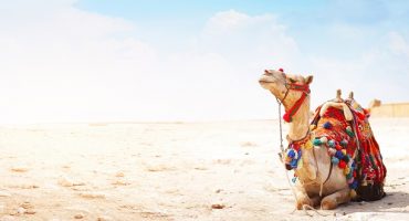 The World’s Most Beautiful Deserts