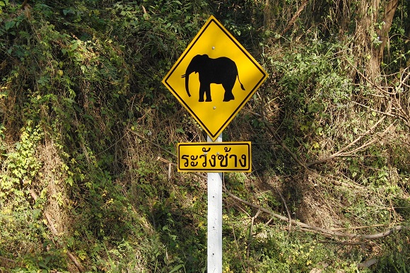 Elephant road sign Thailand