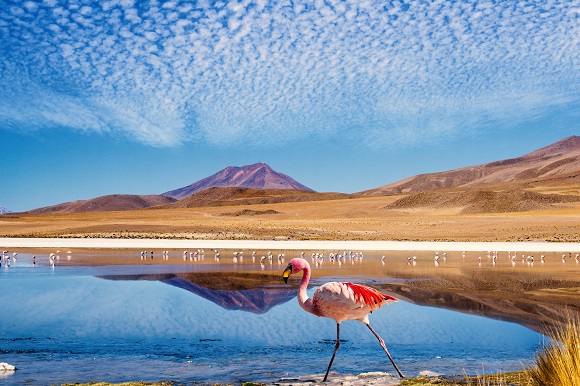 Ruta de las Joyas altoandinas, Bolivia
