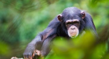 Sierra Leone Is The World’s Fastest Growing Tourist Destination