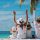 Family travel