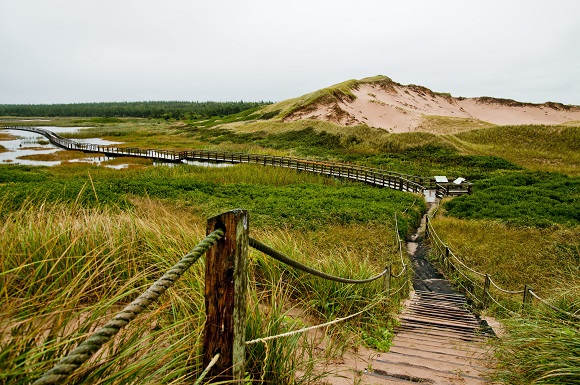Greenwich Dunes, Prince Edward Island