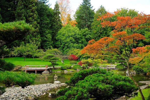 Japanese Garden in Seattle