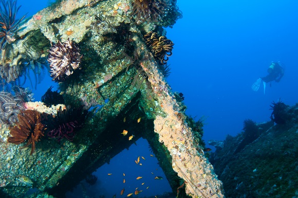 Ship wreck in Bermuda