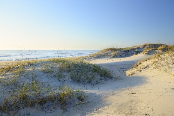 Cape Hatteras Sand Dunes