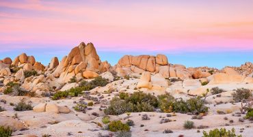 There’s Only A Few Days Left To Get Lifetime Access To U.S. National Parks For $10