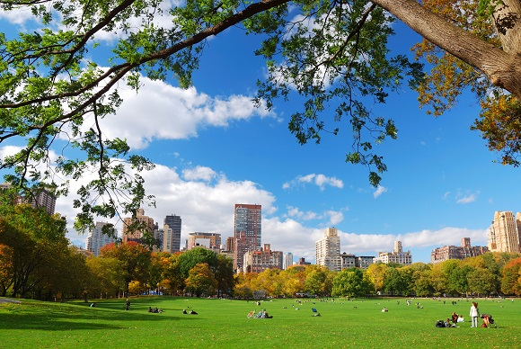 Central Park in New York City