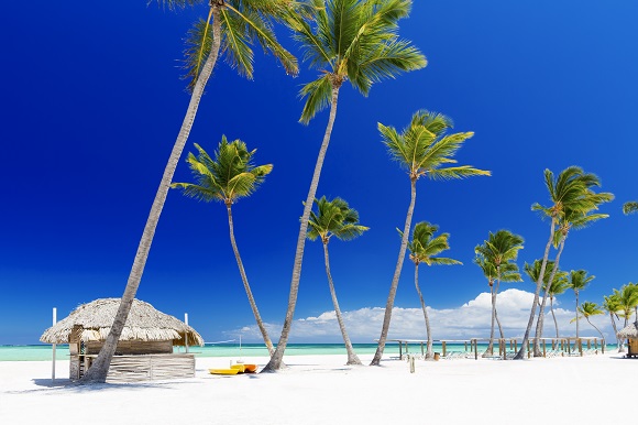 Tropical Island