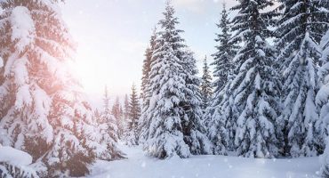 Forecasts Predict Late And Short Winter Season