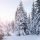 Winter-scene